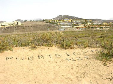 wohnen und schlafen_barcelo jandia playa mar galeria 17