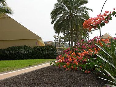 wohnen und schlafen_sbh hotel maxorata jandia galeria 28