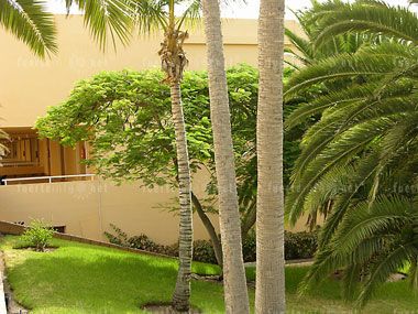 wohnen und schlafen_sbh hotel maxorata jandia galeria 29