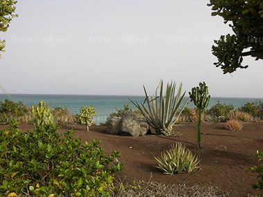 wohnen und schlafen_sbh hotel taro costacalma galeria 03