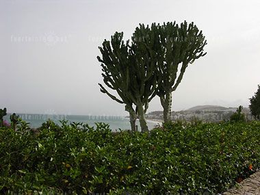 wohnen und schlafen_sbh hotel taro costacalma galeria 06