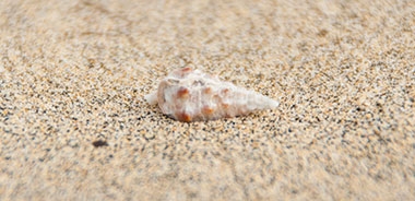 fuerteventura sandfarbe strand