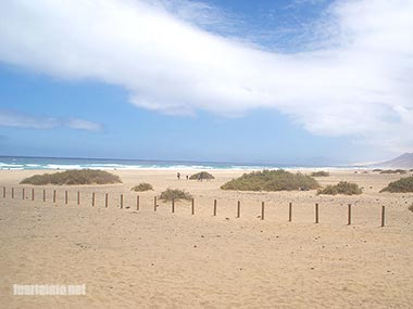 fuerteventura bilder straende playa cofete 04