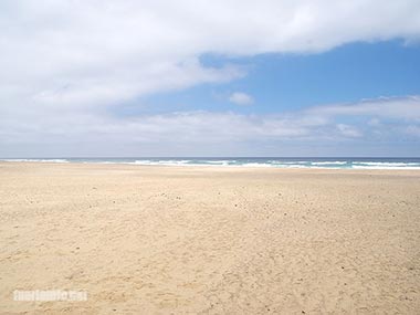 fuerteventura bilder straende playa cofete 18