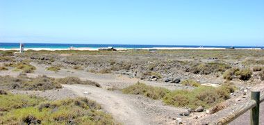 Salzschutzgebiet Saladar auf Fuerteventura