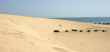 Wanderdüne El Jable auf Fuerteventura