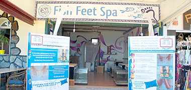 Fish Feet Spa in Morro Jable auf Fuerteventura