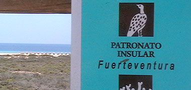 Vogelschutzgebiet auf Fuerteventura