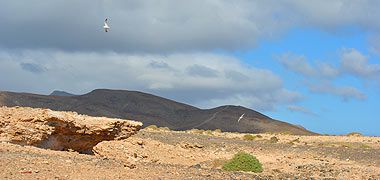 Punta Pesebre auf Fuerteventura