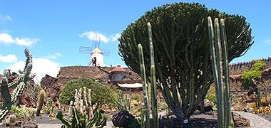 Jardin Cactus auf Lanzarote