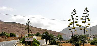 Vega de Rio Palma auf Fuerteventura