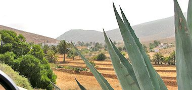 Landwirtschaft auf Fuerteventura